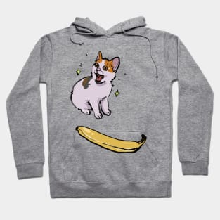 angry cat no banana meme but it's happy cat yes banana instead Hoodie